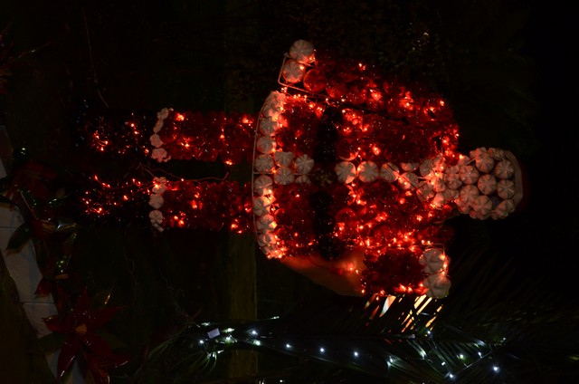 Prefeitura Inaugura Decoração Natalina - Imagem 61