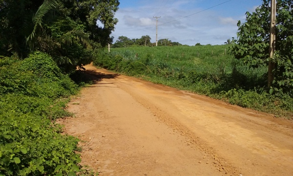 Prefeitura de Lagoinha começa recupera estrada Vicinal  - Imagem 5