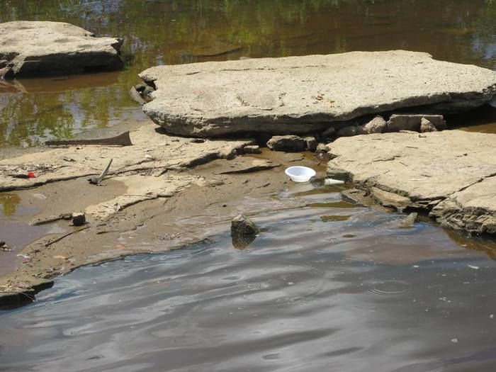 Alerta aos banhistas que deixam sujeira as margens dos banhos - Imagem 1