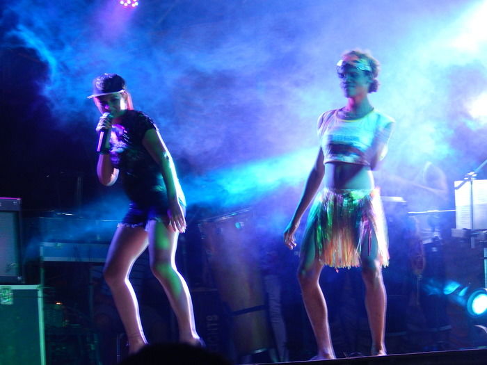 Folia de Carnaval - Imagem 16