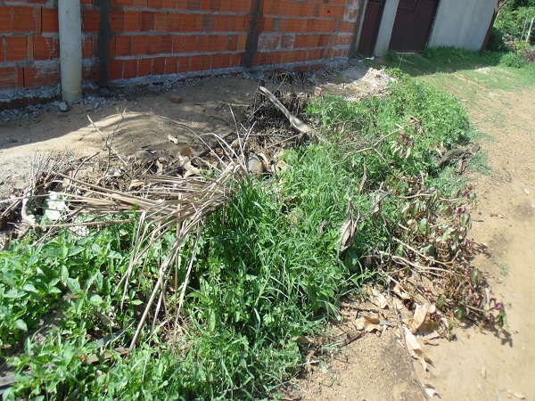 Mais de trezentas pessoas participam de mutirão em combate ao Aedes - Imagem 29