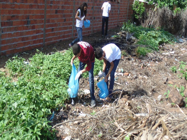 Mais de trezentas pessoas participam de mutirão em combate ao Aedes - Imagem 19