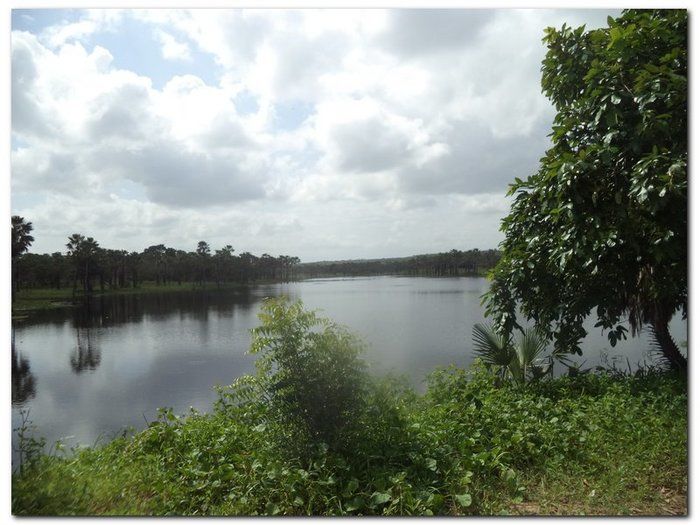 Lagoa dos Bangues, um lindo espetáculo da natureza - Imagem 2