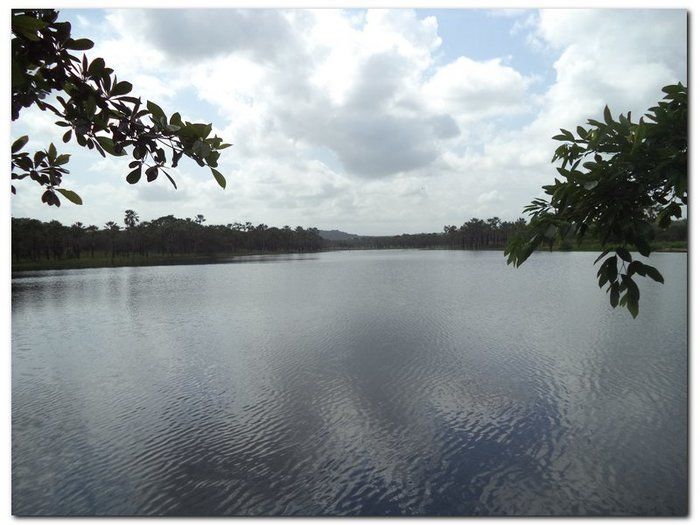 Lagoa dos Bangues, um lindo espetáculo da natureza - Imagem 3