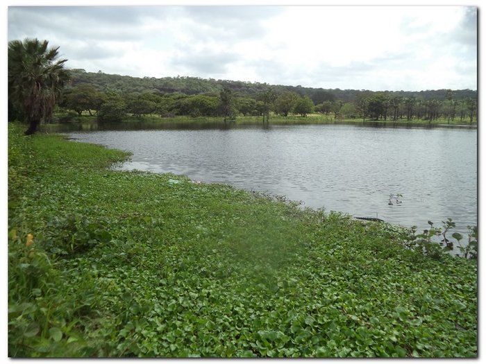 Lagoa dos Bangues, um lindo espetáculo da natureza - Imagem 7