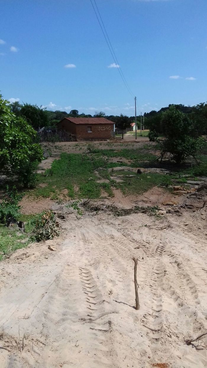 Prefeito revitaliza estradas vicinais do município de Santo Inácio - Imagem 9