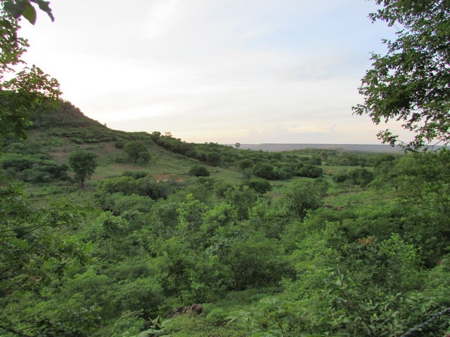 Prefeitura Distribui Alevinos nos Açudes de Ipiranga - Imagem 48