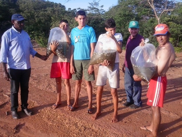 Prefeitura Distribui Alevinos nos Açudes de Ipiranga - Imagem 5