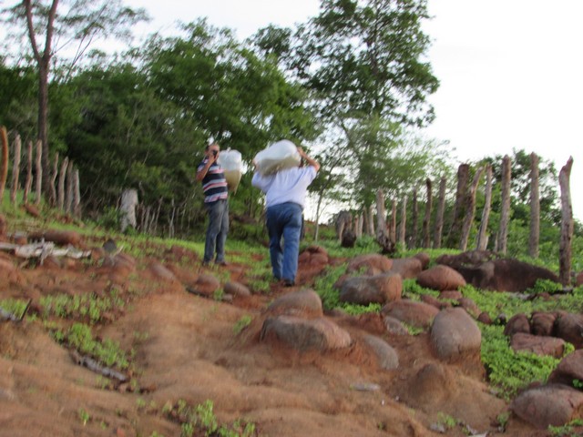 Prefeitura Distribui Alevinos nos Açudes de Ipiranga - Imagem 34