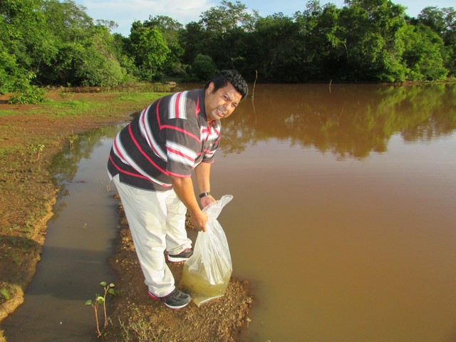 Prefeitura Distribui Alevinos nos Açudes de Ipiranga - Imagem 28