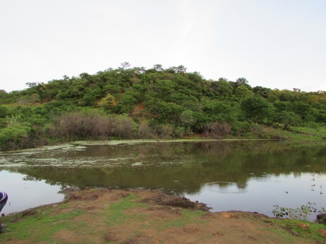 Prefeitura Distribui Alevinos nos Açudes de Ipiranga - Imagem 44