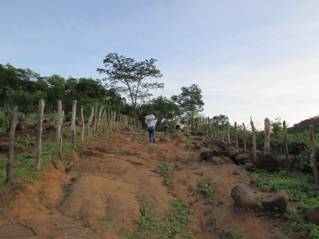 Prefeitura Distribui Alevinos nos Açudes de Ipiranga - Imagem 33
