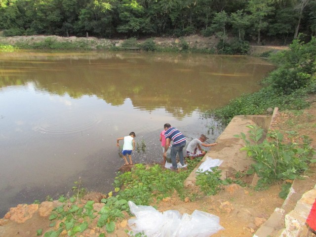 Prefeitura Distribui Alevinos nos Açudes de Ipiranga - Imagem 23