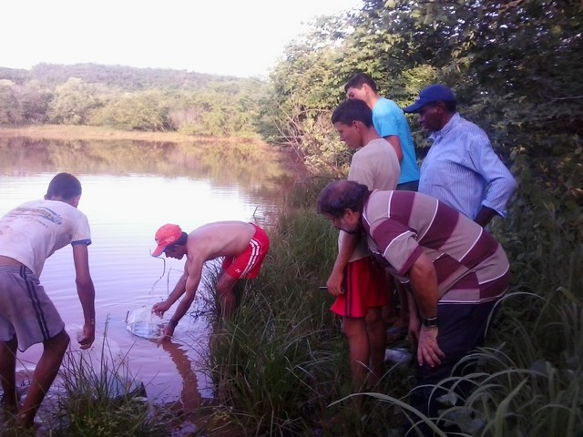 Prefeitura Distribui Alevinos nos Açudes de Ipiranga - Imagem 9