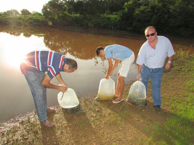 Prefeitura Distribui Alevinos nos Açudes de Ipiranga - Imagem 25