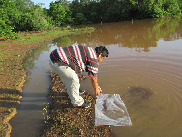 Prefeitura Distribui Alevinos nos Açudes de Ipiranga - Imagem 30