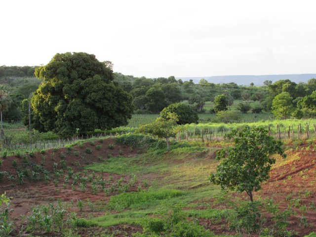 Prefeitura Distribui Alevinos nos Açudes de Ipiranga - Imagem 35