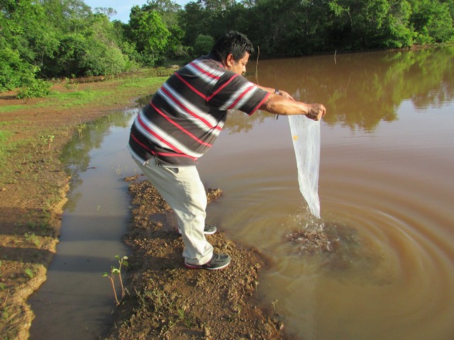 Prefeitura Distribui Alevinos nos Açudes de Ipiranga - Imagem 29