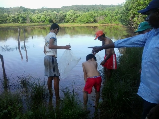 Prefeitura Distribui Alevinos nos Açudes de Ipiranga - Imagem 11