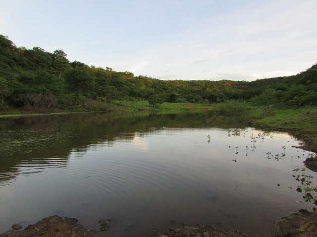 Prefeitura Distribui Alevinos nos Açudes de Ipiranga - Imagem 41