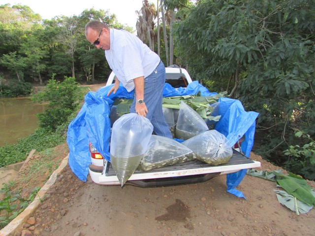 Prefeitura Distribui Alevinos nos Açudes de Ipiranga - Imagem 20