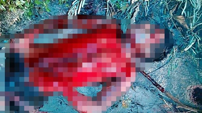 Homem é morto com 36 facadas após briga no litoral do Piauí - Imagem 3