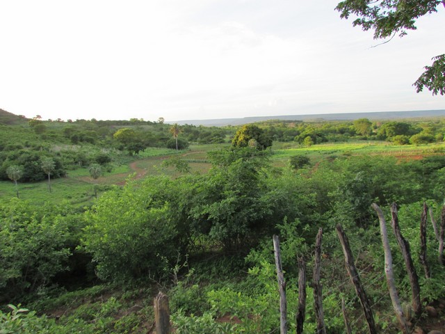 Prefeitura Distribui Alevinos nos Açudes de Ipiranga - Imagem 37