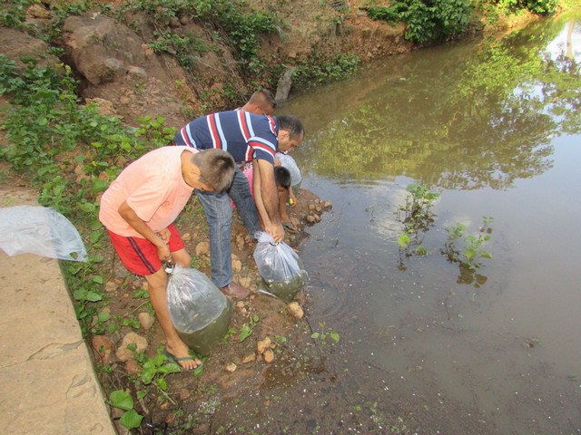 Prefeitura Distribui Alevinos nos Açudes de Ipiranga - Imagem 19