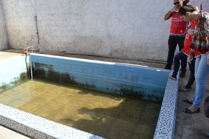 SMS de Alegrete realiza mais um mutirão de combate ao Aedes Aegypti - Imagem 30