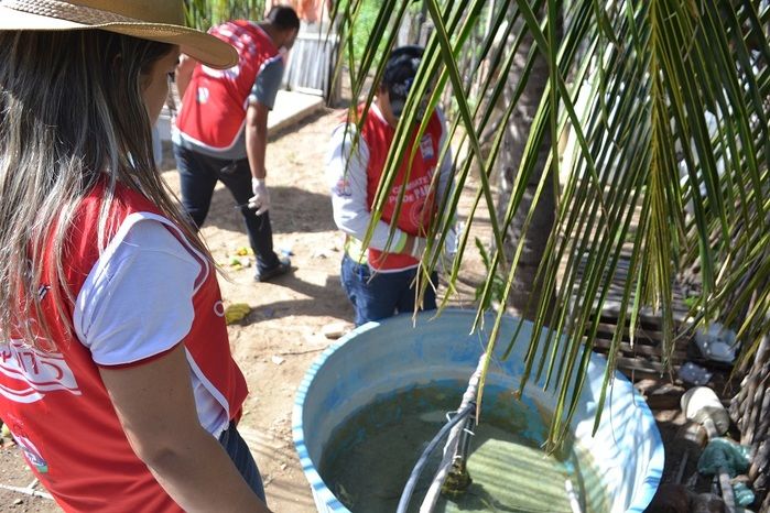 SMS de Alegrete realiza mais um mutirão de combate ao Aedes Aegypti - Imagem 28