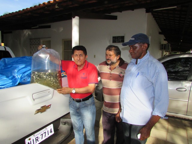 Prefeitura Distribui Alevinos nos Açudes de Ipiranga - Imagem 15