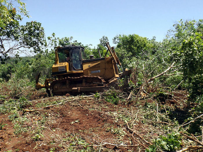 Povoado Chapada das Contendas recebe estrada e escola reformadas - Imagem 26