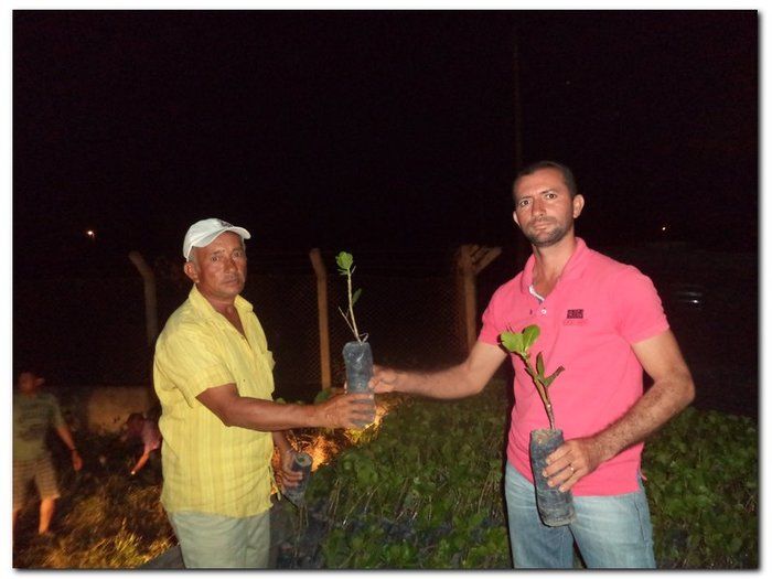 Secretaria Municipal de Agricultura distribui mudas de Cajueiros - Imagem 6