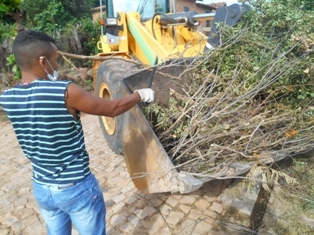 Combate ao Aedes Aegypit - Imagem 5