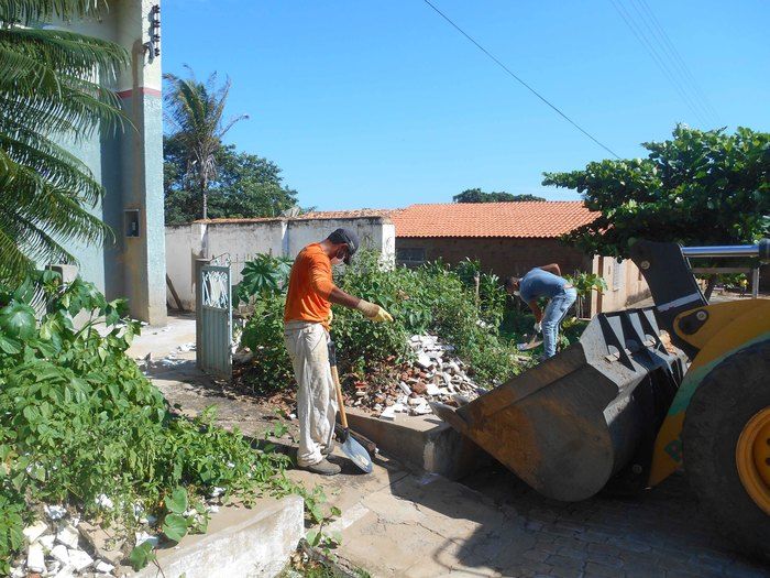 Combate ao Aedes Aegypit - Imagem 1
