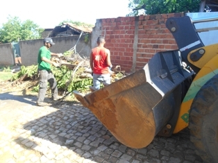 Combate ao Aedes Aegypit - Imagem 29