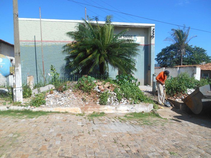 Combate ao Aedes Aegypit - Imagem 3