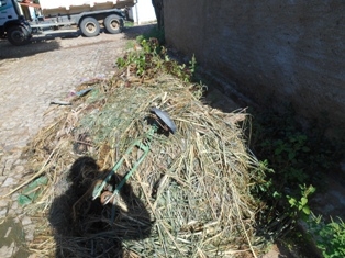 Combate ao Aedes Aegypit - Imagem 31