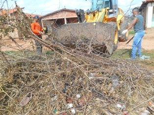 Combate ao Aedes Aegypit - Imagem 15