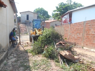 Combate ao Aedes Aegypit - Imagem 37