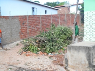 Combate ao Aedes Aegypit - Imagem 33