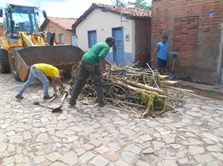 Combate ao Aedes Aegypit - Imagem 24