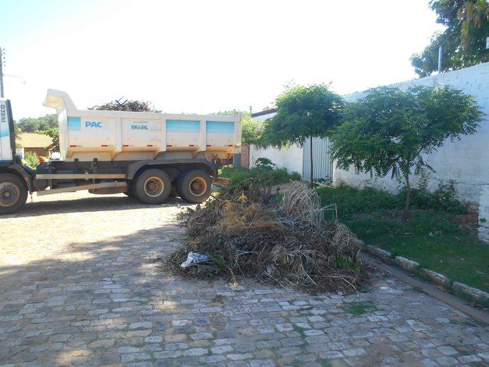 Combate ao Aedes Aegypit - Imagem 4