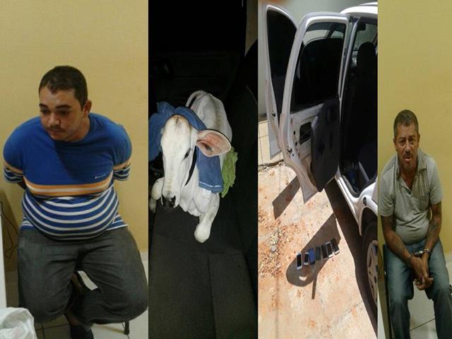 Policia Militar apreende dupla com bezerro e celulares em Aroazes - Imagem 1