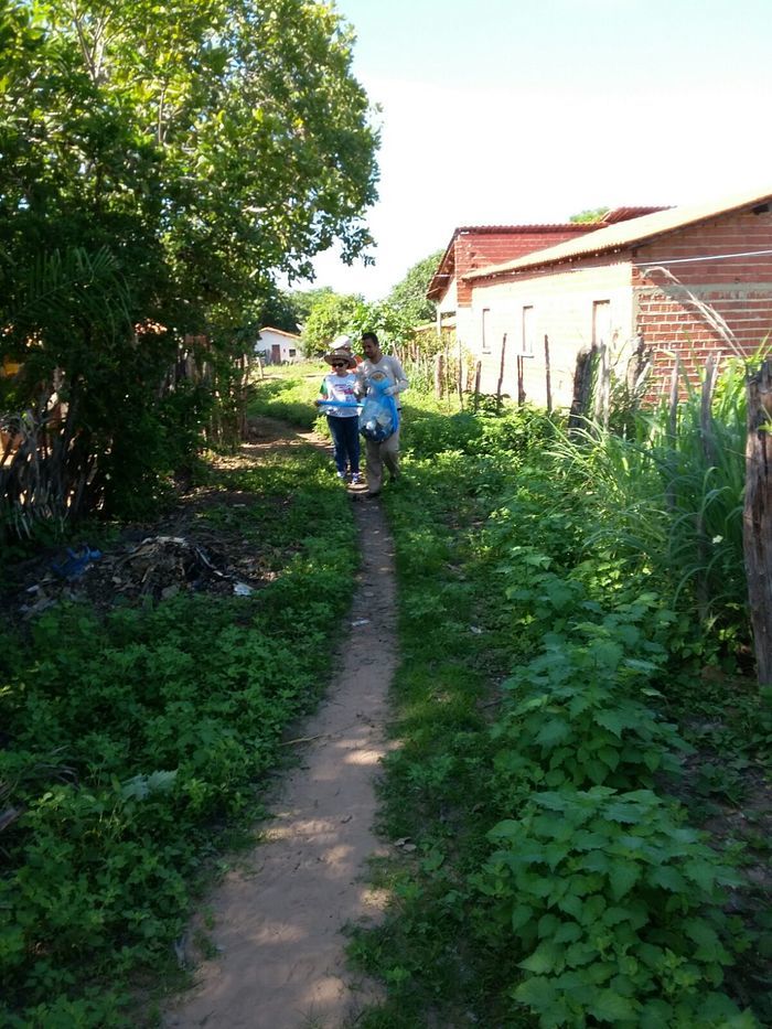 Secretaria de Saúde realiza mutirão de combate ao Aedes Aegypti - Imagem 4