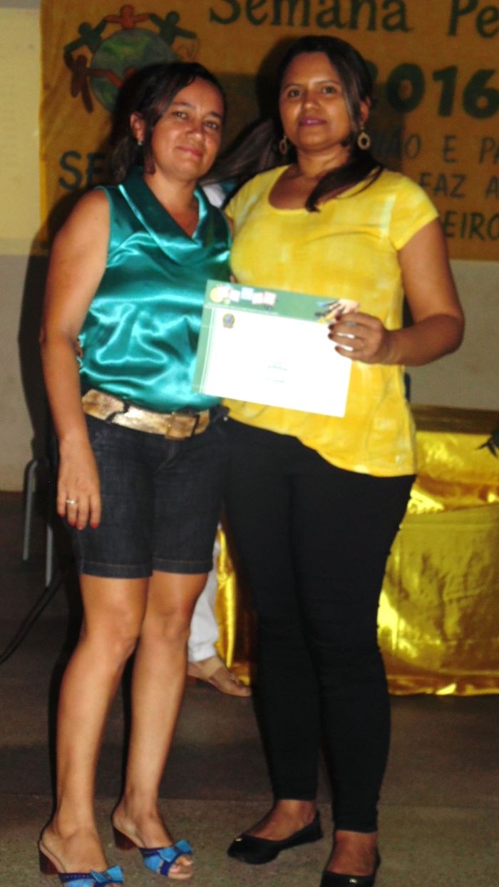 Professores recebem certificados de formação do PNAIC - Imagem 6