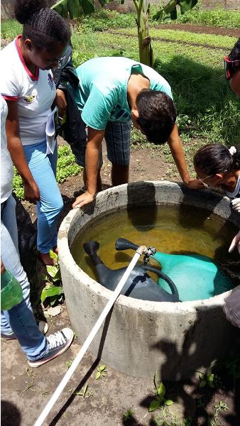 Lagoinha do Piauí no Combate o Mosquito da Dengue  - Imagem 3