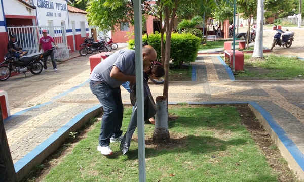 Lagoinha do Piauí no Combate o Mosquito da Dengue  - Imagem 6