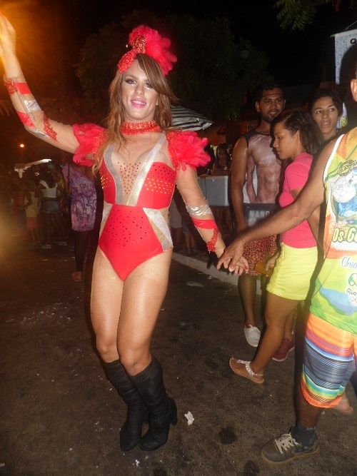 Os Gatões batem novo recorde e fazem desfile mais longo da história - Imagem 8