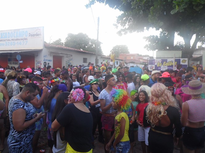 Os Gatões batem novo recorde e fazem desfile mais longo da história - Imagem 39